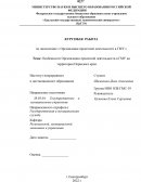 Особенности Организации проектной деятельности в ГМУ на территории Пермского края