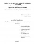 Проблемы предпринимательства России: содержание и государственное регулирование