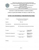 Отчет по практике в АО «Российские Космические Системы»