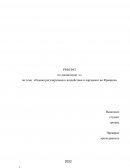Оценка регулирующего воздействия и парламент во Франции