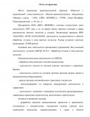 Отчет по практике в ООО «НПО «ФЕНИКС»