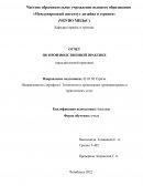 Отчет по практике в ООО «Каприз-2000»