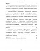 Отчёт по практике в Администрации Новосибирска