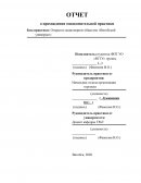 Отчет по практике в ОАО «Витебский универмаг»
