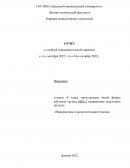 Отчет по практике по «Информатике и вычислительной технике»