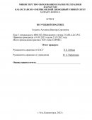 Отчет по практике в ТОО «Altai EXPORT»