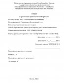 Отчет по практике в ООО "Мойрейс-Якутск"