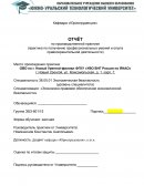 Отчет по практике в ОВО по г. Новый Уренгой-филиал ФГКУ «УВО ВНГ России по ЯНАО»