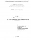Отчет по практике на Частном торгово-производственном унитарном предприятии «ТЕМП-АВТО»