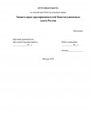 Защита прав предпринимателей Конституционным судом России