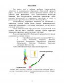 Проблемы благоустройства территории в муниципальном образовании «Невельский городской округ» Сахалинской области