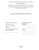Отчёт по производственной практике в МКУ СпецАвтоТранс