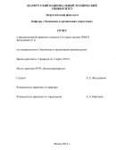 Отчет по практике на РУП “Белмедпрепараты”