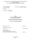 Отчет по практике на кафедре «Мировая экономика и международные отношения»