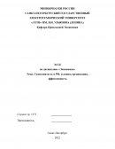 Самозанятость в РФ, условия, организация, эффективность