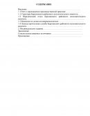 Отчет по преддипломной практике в Березинском РИК