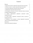 Исследование деятельности системы социальной защиты населения на примере Челябинской области