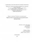 Правовые основы, государственная политика развития водного транспорта России