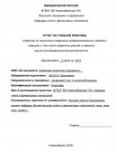 Отчет по практике в ФГБОУ ВО Новосибирский ГАУ, кафедра учета и финансовых технологий