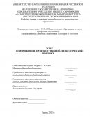 Отчет по практике в МБОУ «Гимназия №18 с татарским языком обучения»