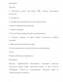 Отчет по практике в ЧШС «Заводи металлургии Чусовской»
