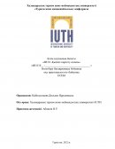 Отчет по практике в Международном университете туризма и гостеприимства IUTH