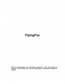 FlyingFox Case Study