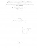 Отчет по практике в ГБОУ ВО «Нижегородский государственный инженерно-экономический университет»