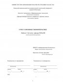 Отчет по практике в Satbayev University, кафедра КБОиХИ