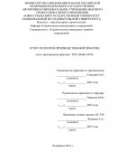 Отчет по практике в ТОО «НиКо-2010»