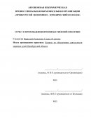 Отчет по практике в Комитете по обеспечению деятельности мировых судей Оренбургской области
