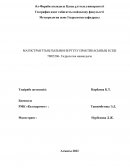 Отчет по практике в РМК «Казгидромет»