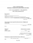 Отчет по практике в «Гимназии №159» (БОУ г. Омска «Гимназия № 159»)