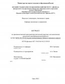Отчет по практике на базе МУП СК ГГО (Сельские коммуникации Гайского городского округа)