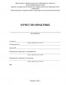 Отчет по практике на предприятии ИП Чернов.С.Н