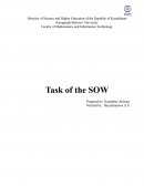 Task of the SOW