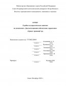 Отчет по практике в ООО “Granat Armeniacer”