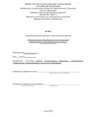 Отчет по практике в МОУ «Широкинской средней образовательной школе»