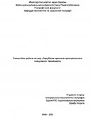 Зарубіжна практика територіального планування - Швейцарія