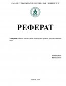 Мектеп жасына дейінгі балалардың тұлғалық дамуына ойынның әсері