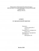 Отчет по практике в ПУ «Оршагаз»