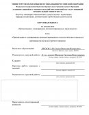 Организация и планирование автоматизированного технологического процесса производства металла горячего проката