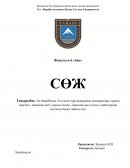 Әл-Фарабидың «Ізгі қала тұрғындарының көзқарастары туралы трактат», «Бақытқа жету туралы кітап», «Бақытқа жол сілтеу» еңбектерінің негіз