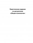 Практическое задание по «Общей психологии»