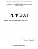 Мускулизм және феминизм туралы түсінік