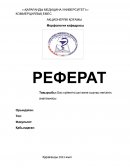 Бас сүйектің ішкі және сыртқы негізінің анатомиясы