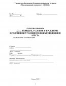 Порядок, условия и проблемы исполнения уголовного наказания в виде ареста