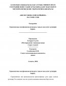 Герменевтика мен феноменологиядағы таным мәселесін түсіндіріп беріңіз