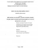 Вiйськова нагородна справа нацiональних урядiв доби украiнськоi революцii 1917-1921 рр.: проекти та реалii