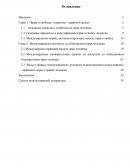 Международный контроль за соблюдением прав человека